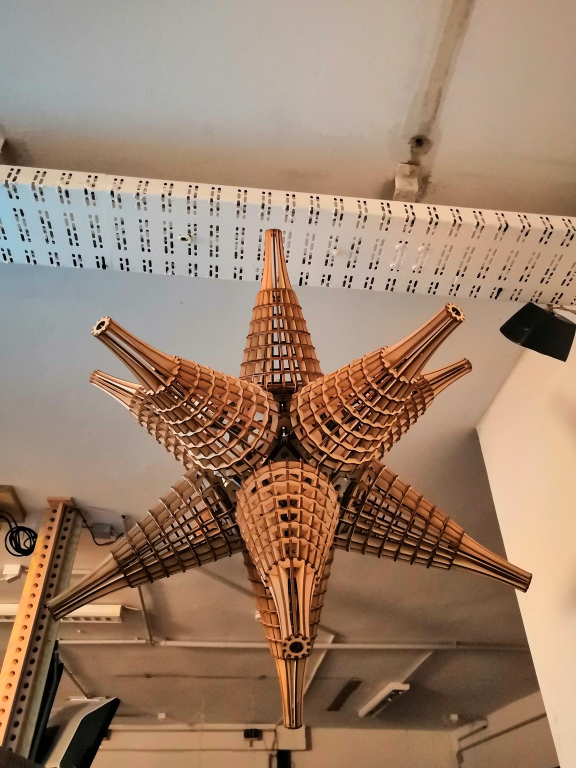 2017 - Igaleano Dodici Wooden Star