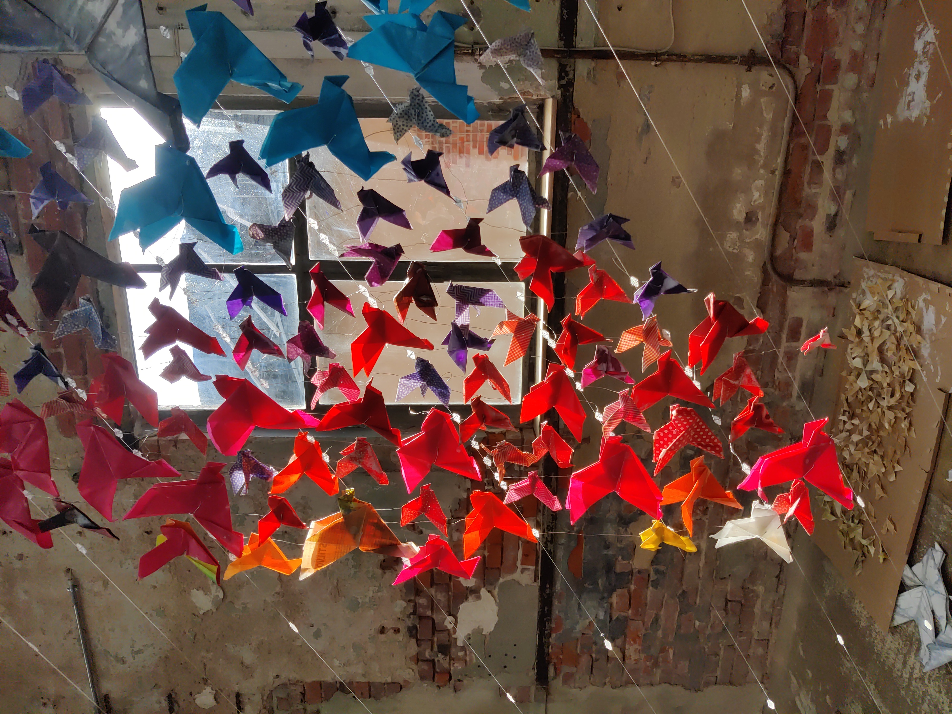 2025 - Pigeons at the Hat Festival